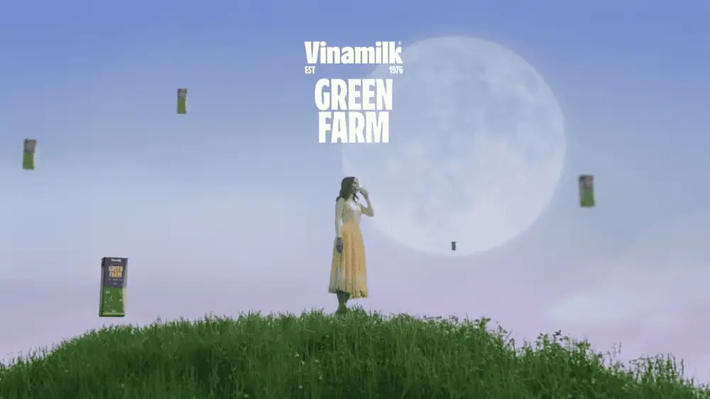 mass marketing là gì